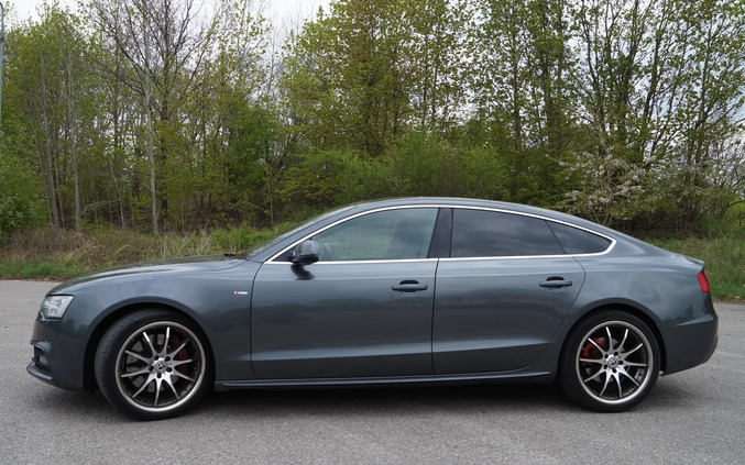 Audi A5 cena 44900 przebieg: 425000, rok produkcji 2012 z Elbląg małe 106